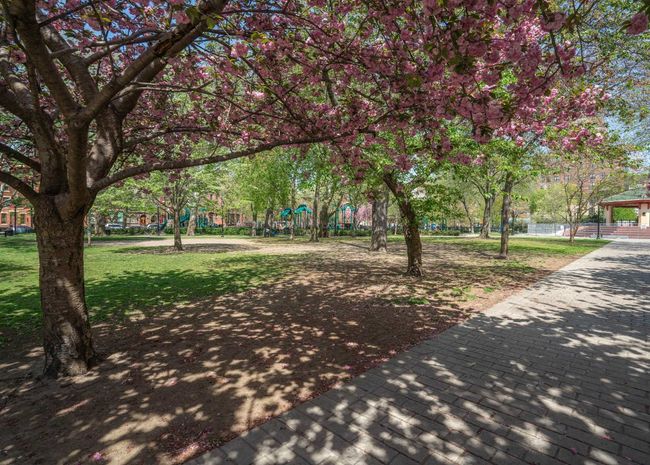 APT-1 - 237 3 Rd St, Condo with 1 bedrooms, 1 bathrooms and null parking in Jersey City NJ | Image 25