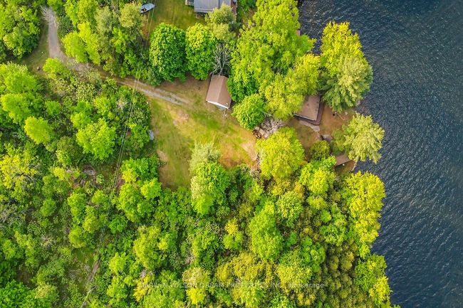 67 Meadow Lane, House other with 3 bedrooms, 1 bathrooms and 4 parking in Tichborne ON | Image 41