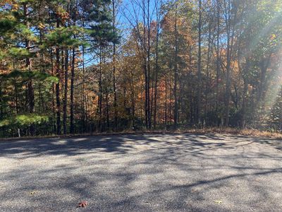 Lot 22 Snowbird Lane, Home with 0 bedrooms, 0 bathrooms and null parking in Blairsville GA | Image 2