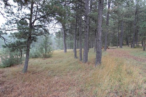 26757 Buffalo Butte Dr, Hot Springs, SD, 57747-6017 | Card Image