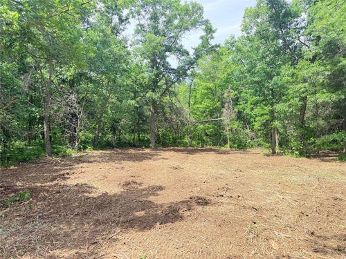 0 Peterson Road, Bruce, WI, 54819 | Card Image