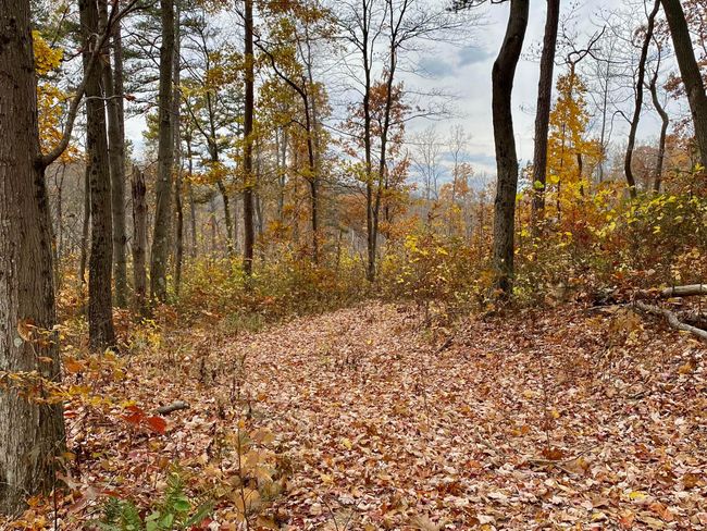 *Leads to upper ridge by Eaton Hollow Rd. | Image 17