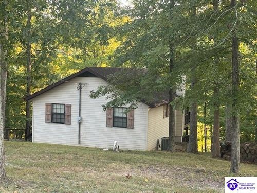 890 Spring Shores Ln, Falls Of Rough, KY, 40119-7535 | Card Image
