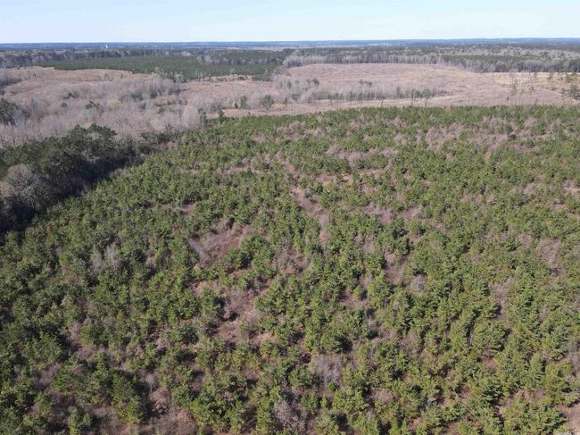 00 Highway 278 Highway, Home with 0 bedrooms, 0 bathrooms and null parking in Rosston AR | Image 32
