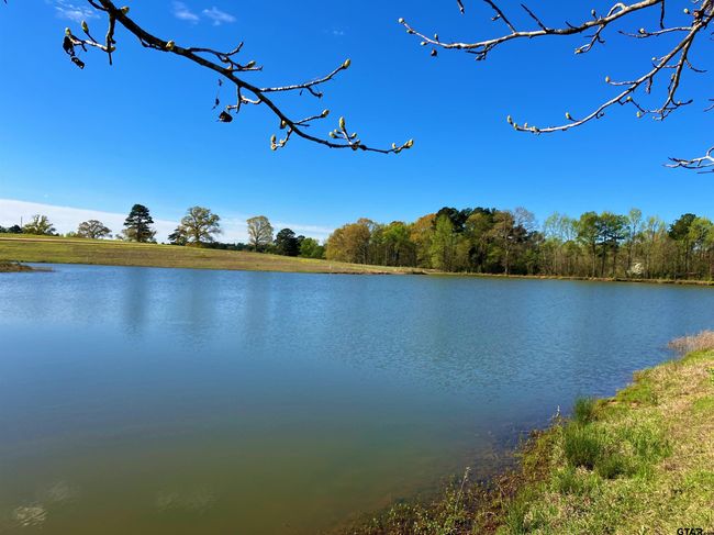 Lot 49 White Oak Creek Ranch, Home with 0 bedrooms, 0 bathrooms and null parking in Big Sandy TX | Image 10