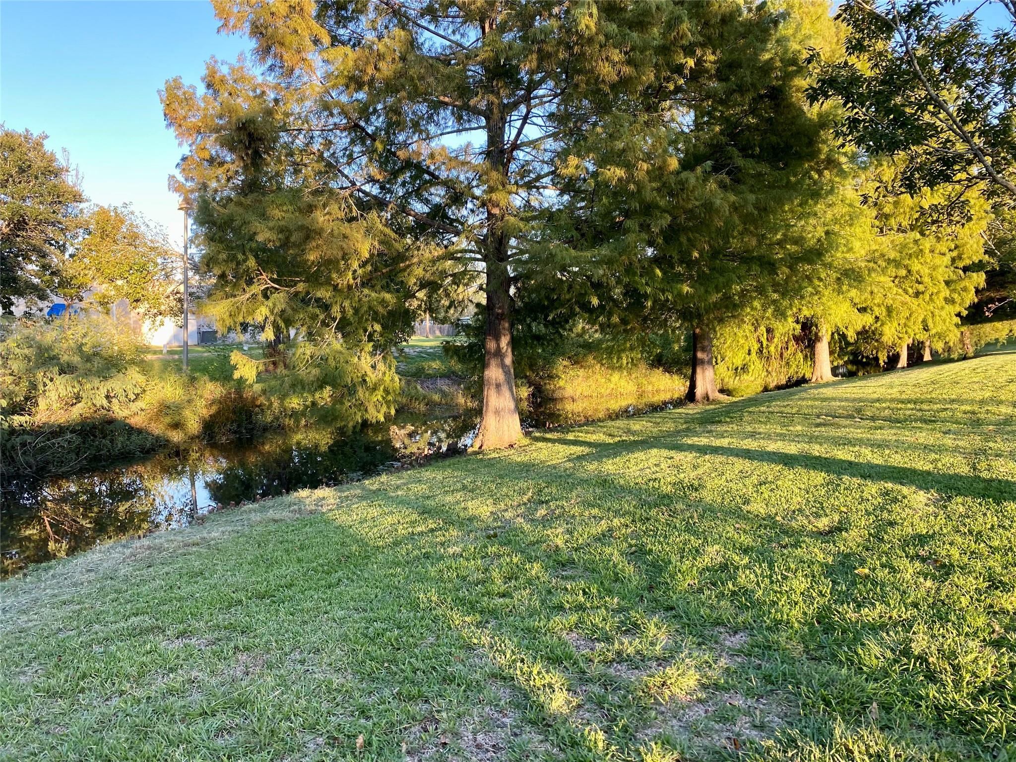 Land in Dickinson 3
