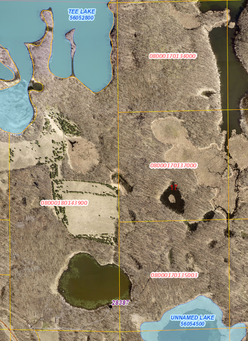 28387 Candor Hall Rd, Vergas, MN, 56587-9456 | Card Image