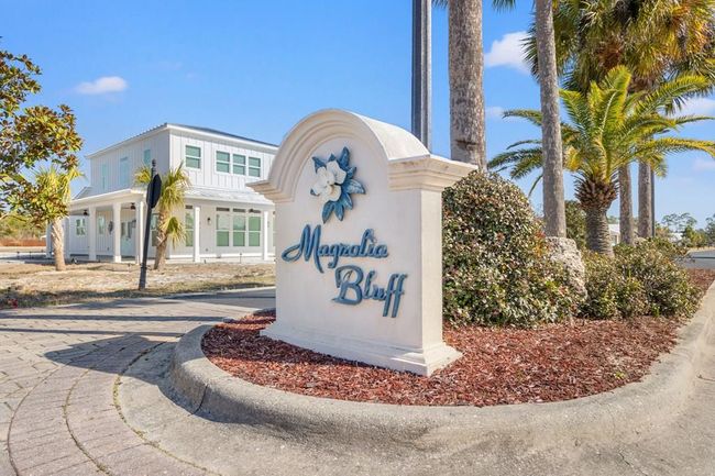 115 White Blossom Trl, Home with 0 bedrooms, 0 bathrooms and null parking in Port St. Joe FL | Image 10