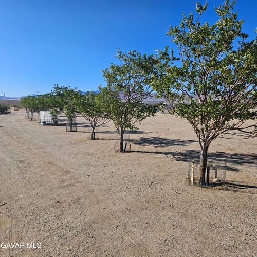 3410 170th St W, Rosamond, CA, 93560-8100 | Card Image
