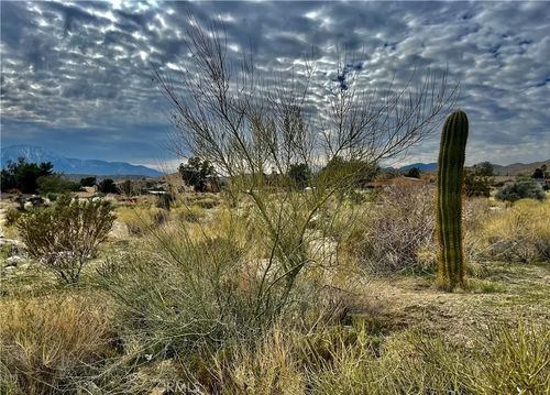 11040 Mescalero Ave, Morongo Valley, CA, 92256 | Card Image