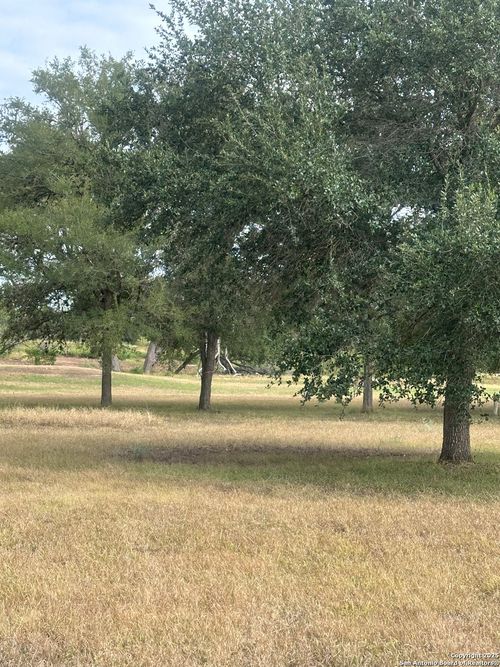 TBD 0 Fm 725, Seguin, TX, 78155 | Card Image