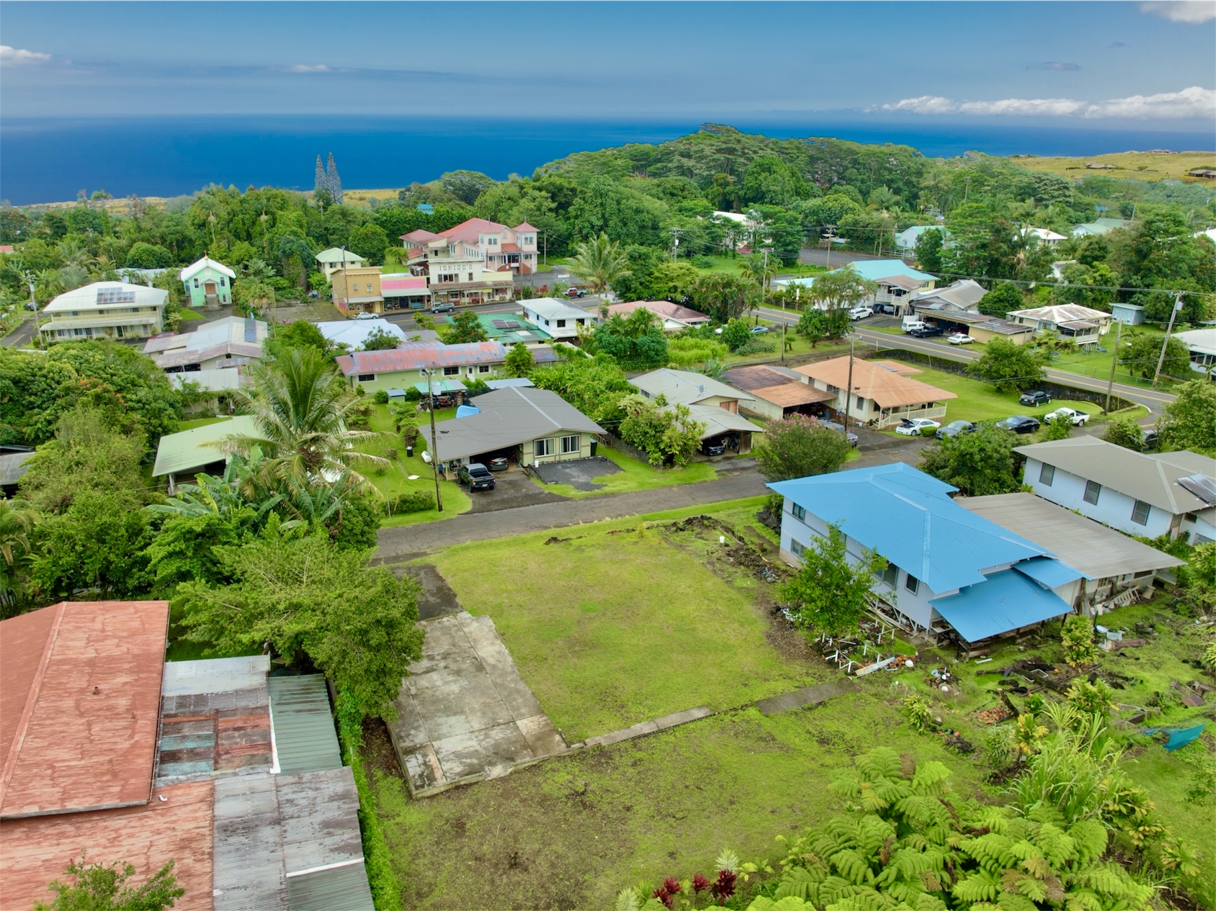 Land in Honomu 3