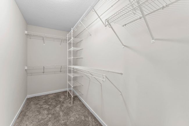 Owner's Closet | Image 34