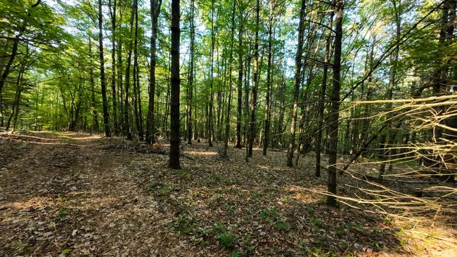 Parcel 2-29 | Image 15