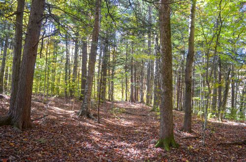 0 Burdock Lane, Ludlow, VT, 05149 | Card Image
