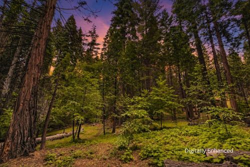 4278 Ottawa Dr, Arnold, CA, 95223 | Card Image