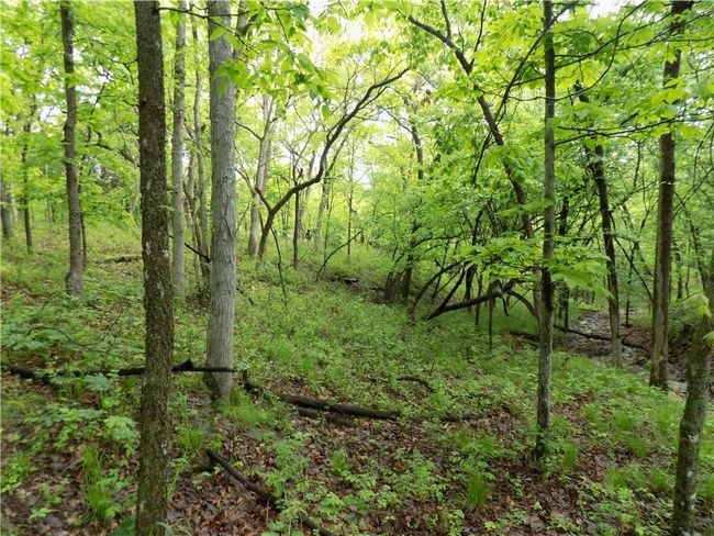 1267 Rock Creek Rd, Home with 0 bedrooms, 0 bathrooms and null parking in Williamsburg KS | Image 17