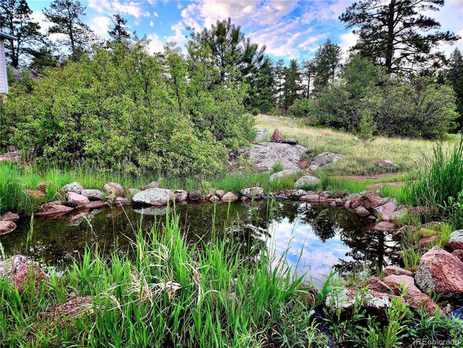 324 Pikeview Ln, House other with 3 bedrooms, 2 bathrooms and null parking in Florissant CO | Image 4