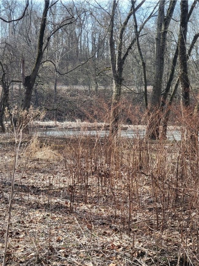 Back of the Lot, looking towards the River | Image 10