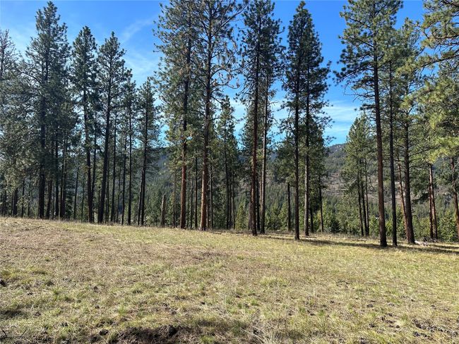 31760 Old Highway 10 W, Home with 0 bedrooms, 0 bathrooms and null parking in Alberton MT | Image 12