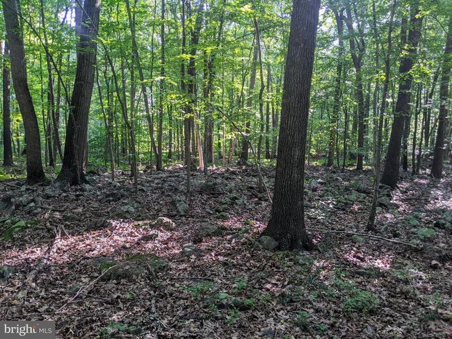 21 Hawthorne Cir, Home with 0 bedrooms, 0 bathrooms and null parking in ELVERSON PA | Image 15