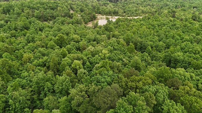 DJI_20250515142447_0135_D | Image 7