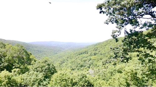 5800 White Oak Moutain Rd, Hector, AR, 72843 | Card Image