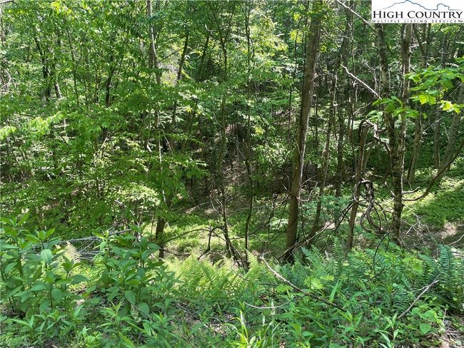 55 Meadow Crest Drive, Home with 0 bedrooms, 0 bathrooms and null parking in Jefferson NC | Image 10