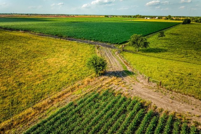 1923 Beasley West End Rd, Home with 0 bedrooms, 0 bathrooms and null parking in Beasley TX | Image 6