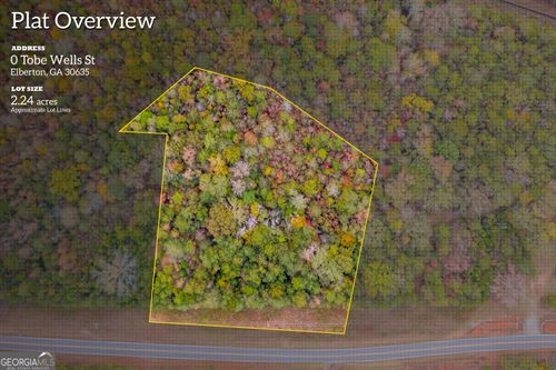 0 Tobe Wells Rd, ELBERTON, GA, 30635 | Card Image