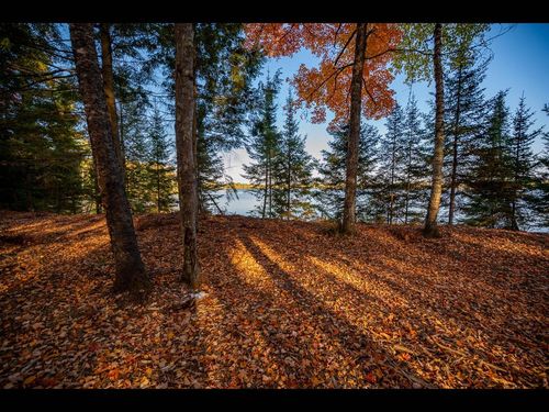 Lot 137 Clearwater Ln, Eagle River, WI, 54521 | Card Image