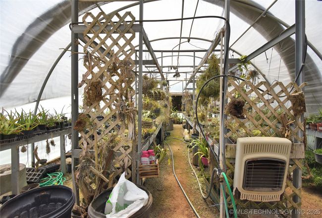 Huge greenhouse. Imagine the plants you can grow | Image 15