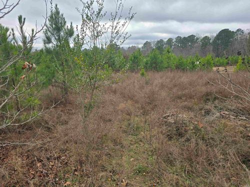 TBD Wilson Lake Ln, Hot Springs National Park, AR, 71901 | Card Image