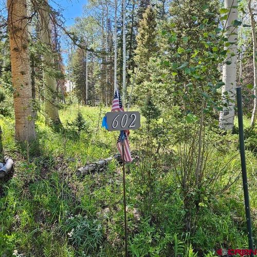 602 Snowshoe Ln, Cimarron, CO, 81220-9537 | Card Image