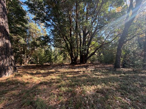 17686 S Mace Dr, Pioneer, CA, 95666-9534 | Card Image