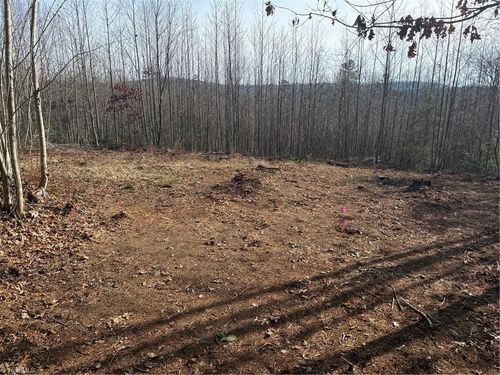 Lot 41 & 42 Billings Hill Church Rd, Traphill, NC, 28685 | Card Image