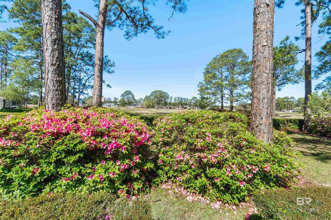 APT-121 - 1701 Regency Rd, Townhouse with 3 bedrooms, 3 bathrooms and null parking in Gulf Shores AL | Image 26