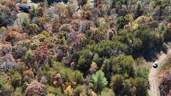 DJI_20241102133351_0073_D | Image 9