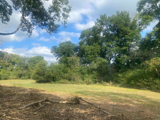 Lt 14 Southfork Hwy 27 North Highway, Home with 0 bedrooms, 0 bathrooms and null parking in Story AR | Image 9