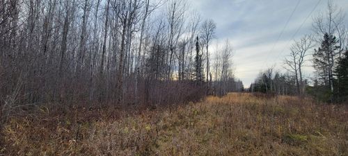 TBD State Highway 1, Effie, MN, 56639 | Card Image