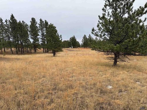 TBD Lincoln Tarken Ln, Piedmont, SD, 57769 | Card Image