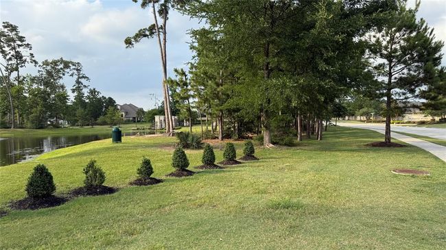 13909 Payette Arbor Ct, House other with 4 bedrooms, 2 bathrooms and 2 parking in Conroe TX | Image 40