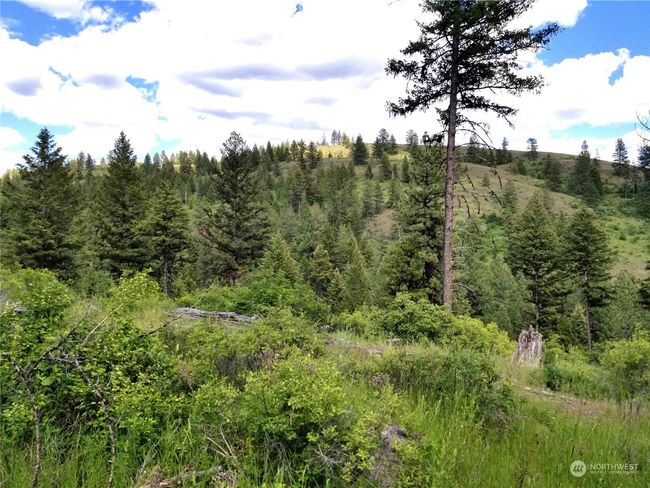 0 Lot 2 Old Kettle Falls Rd, Home with 0 bedrooms, 0 bathrooms and null parking in Republic WA | Image 5