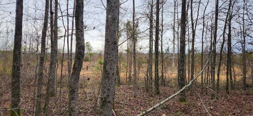 901 Green Hills Rd, Star City, AR, 71667-8331 | Card Image