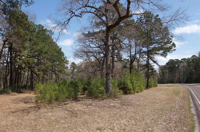 4345 Fm 3188, Home with 0 bedrooms, 0 bathrooms and null parking in Trinity TX | Image 6