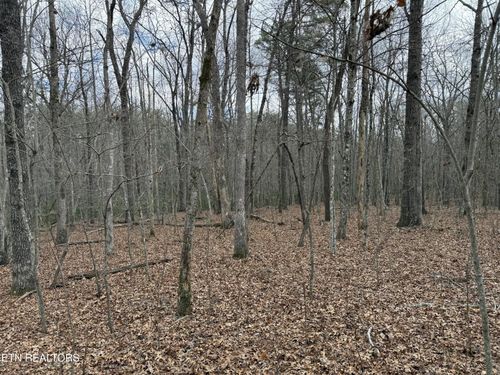 0 Street Place Loop, Monterey, TN, 38574 | Card Image