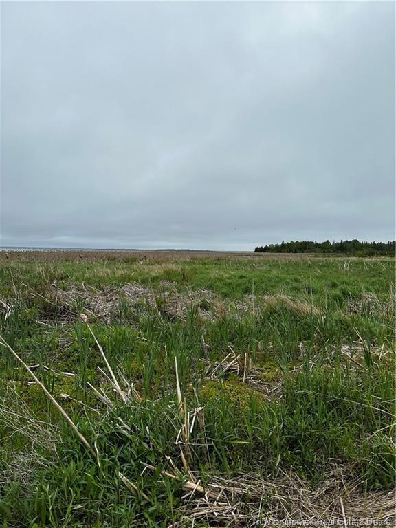 Land in Grande-Digue 4