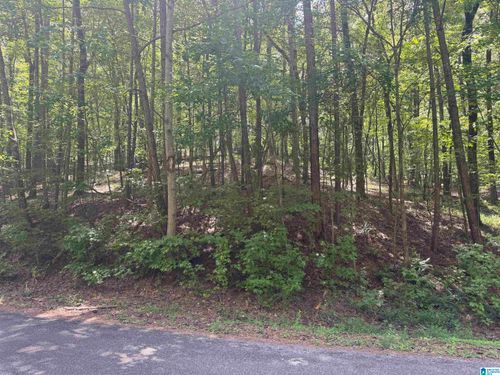 22-85 Mohawk Ct, Ohatchee, AL, 36271 | Card Image