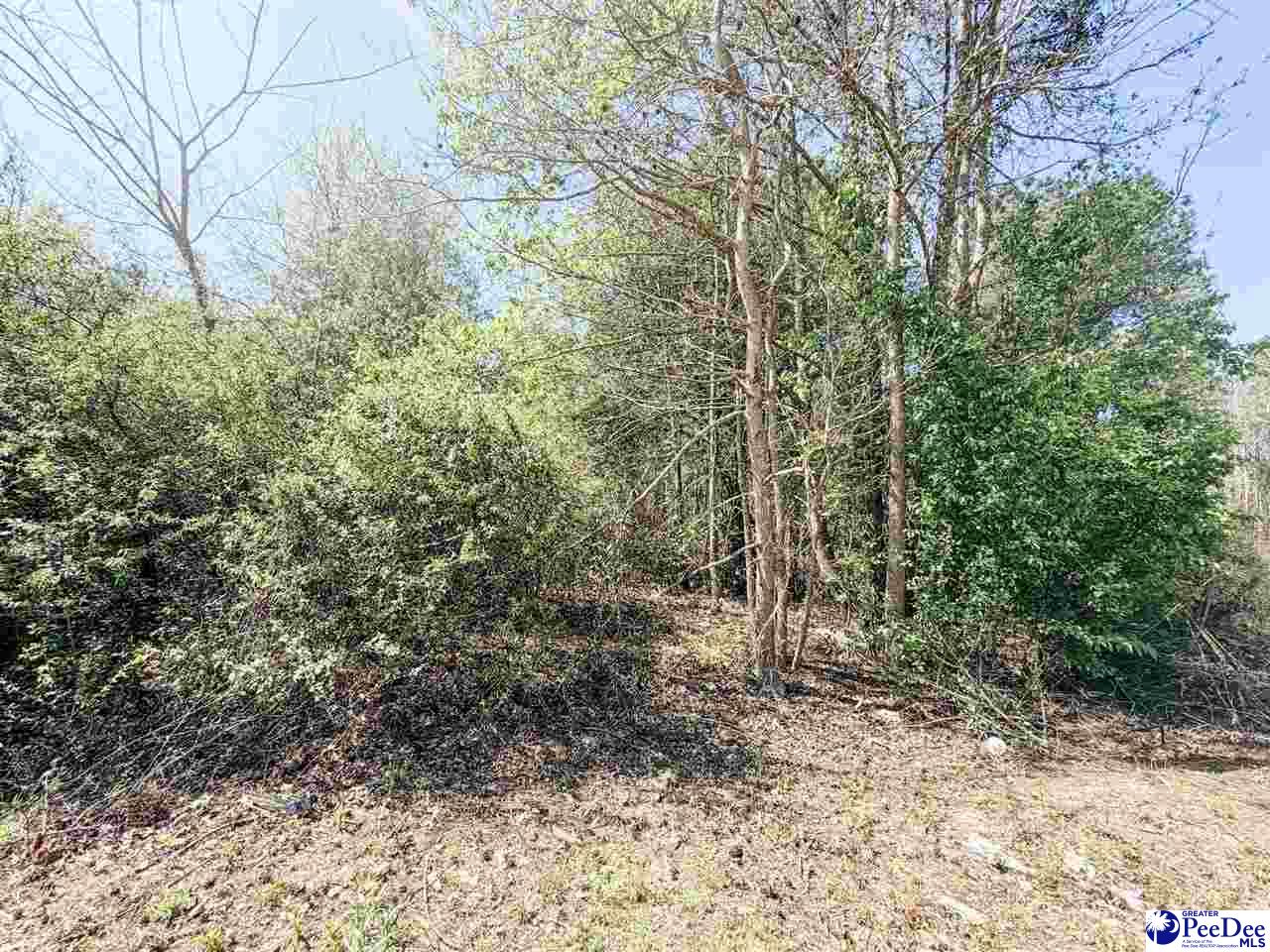 Land in Little Rock 2