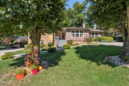 311 Lambeth Drive, Johnson City, TN, 37601 | Card Image